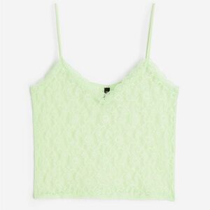 Divided Light Green Lace Cami Top